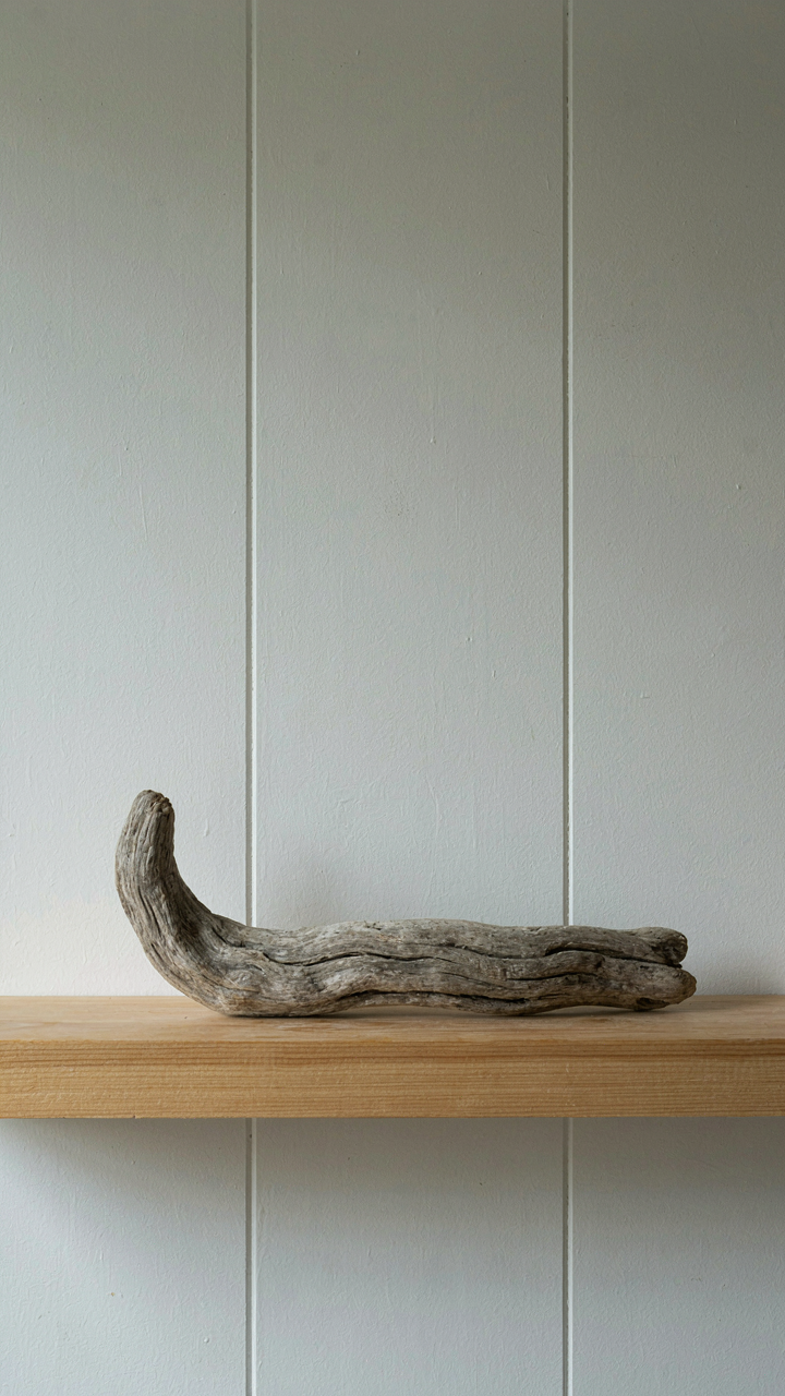 A single piece of driftwood on a simple wooden shelf.
