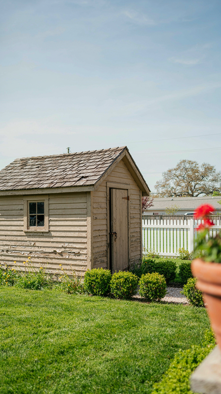 A neglected, faded beige garden shed looks out of place in a lively yard.