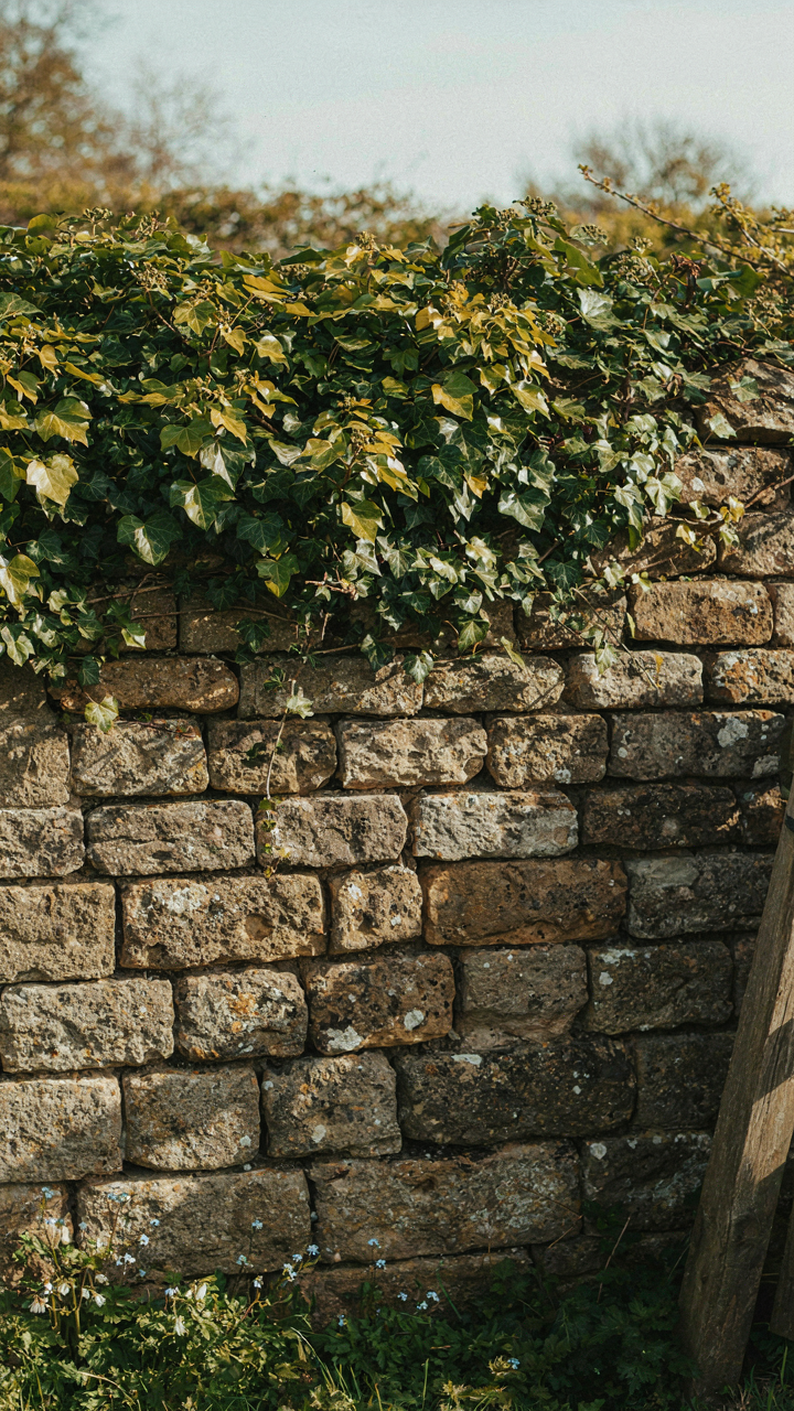 An ancient, weathered stone wall of a rural English country house.