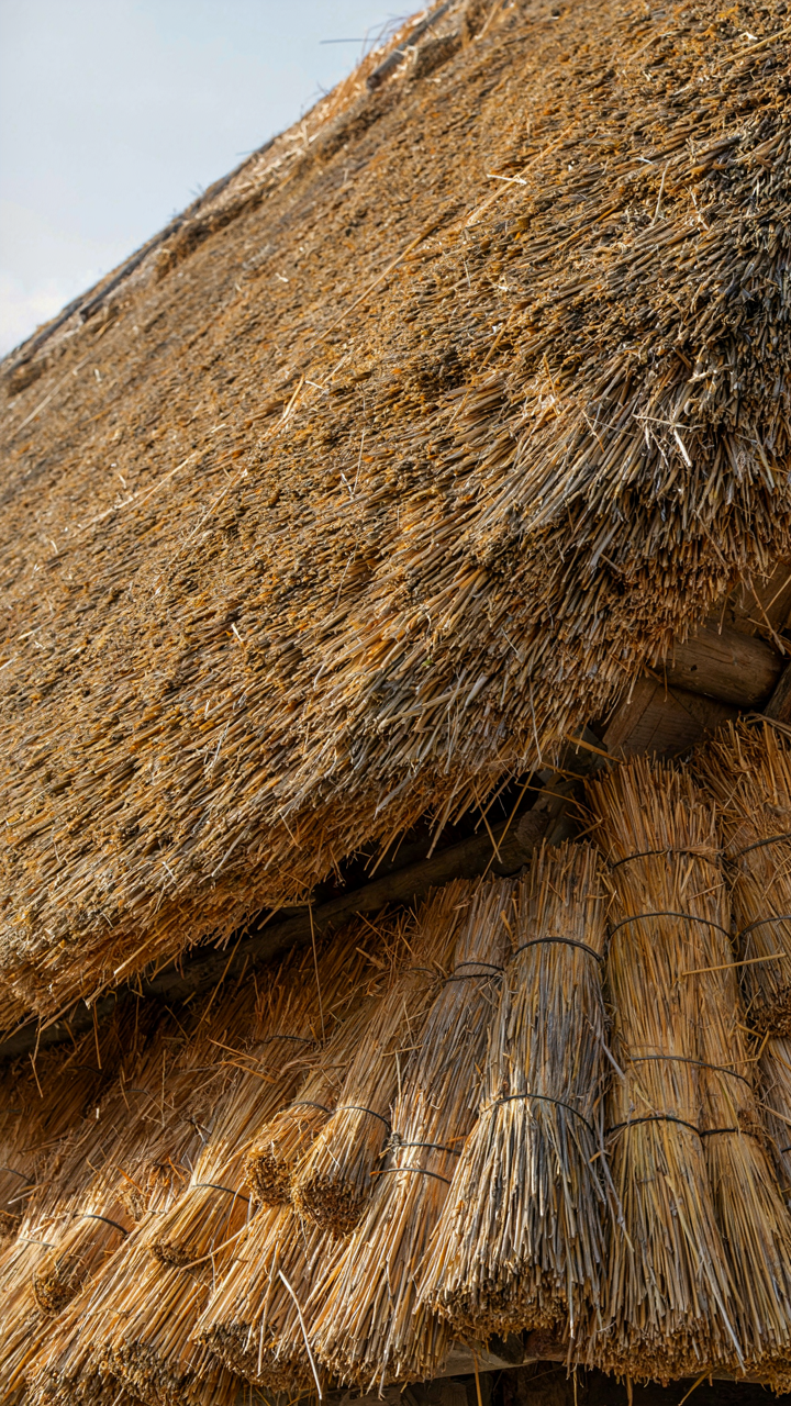 A close-up of a thick, steeply pitched thatched roof with deep eaves.