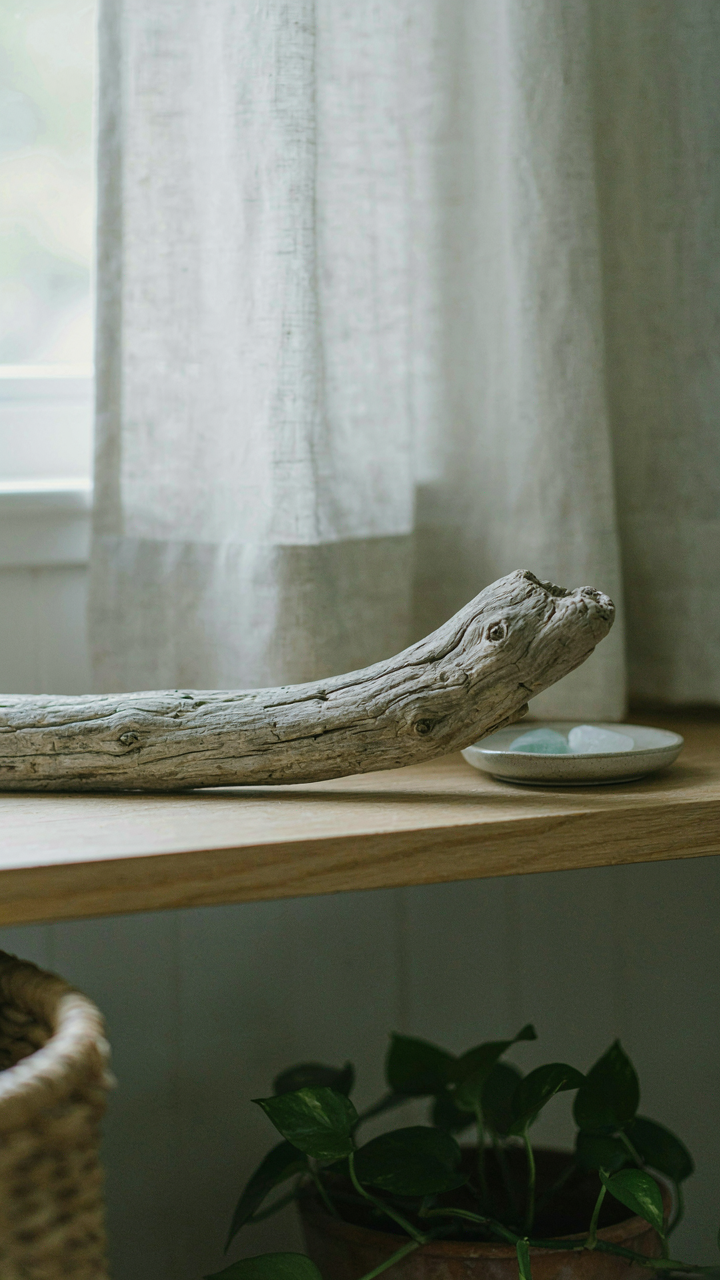 A single piece of weathered driftwood sits on a shelf in a cottage.