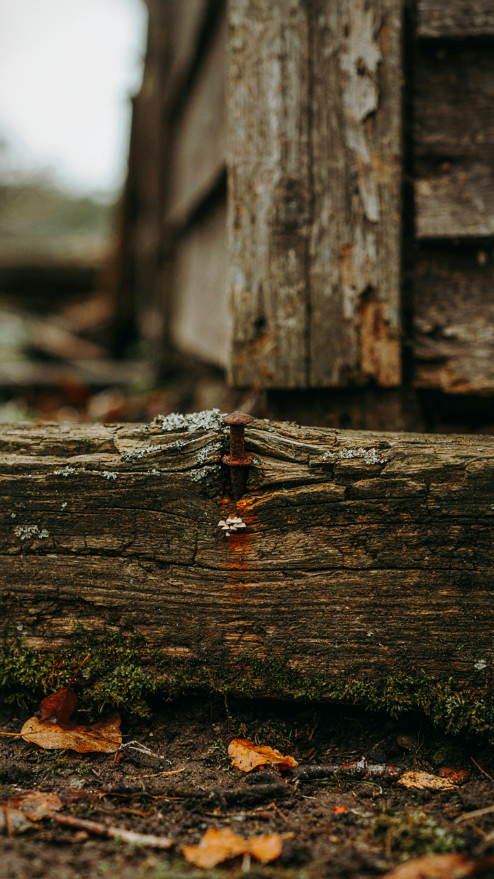 Rotting wood at the bottom of an old shed shows water damage.