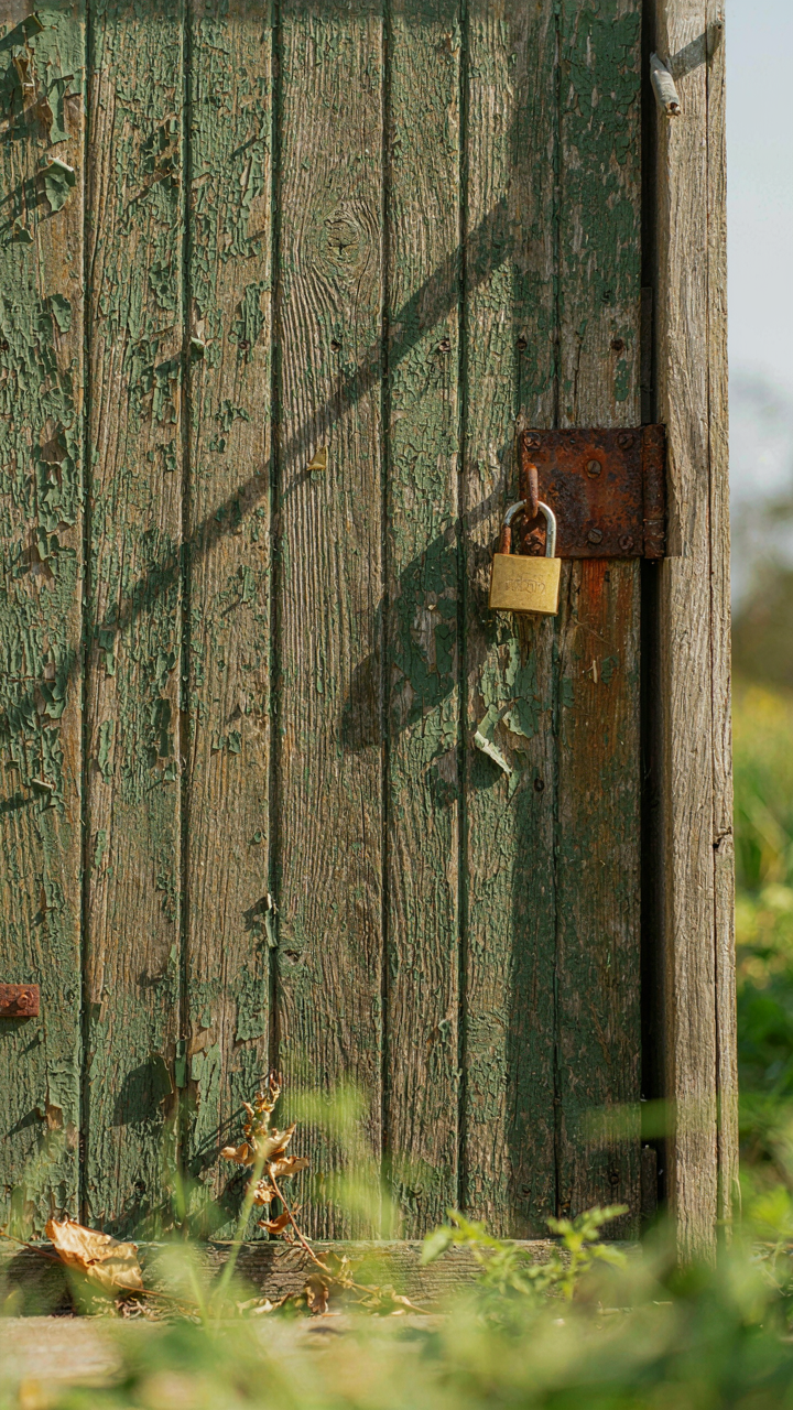 A close-up of an old, neglected wooden shed door with peeling paint and a rusted hinge.