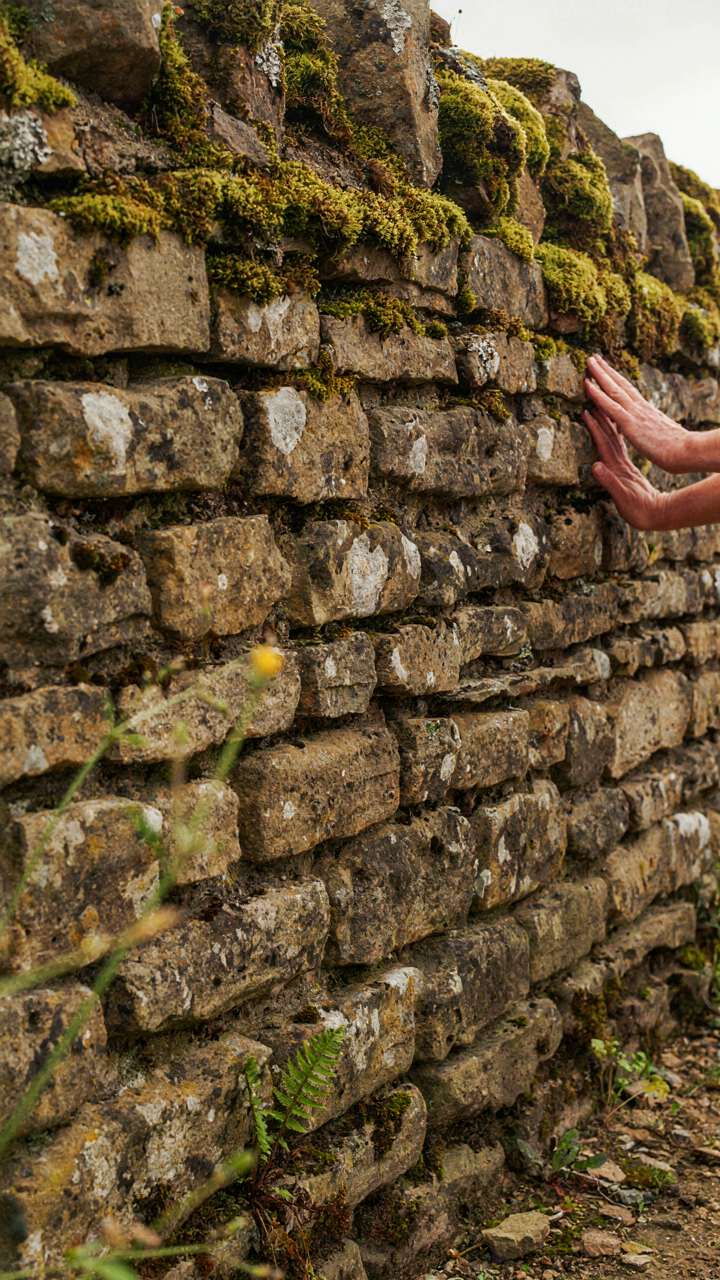 A hand touches an old stone wall, with moss growing between its durable joints.