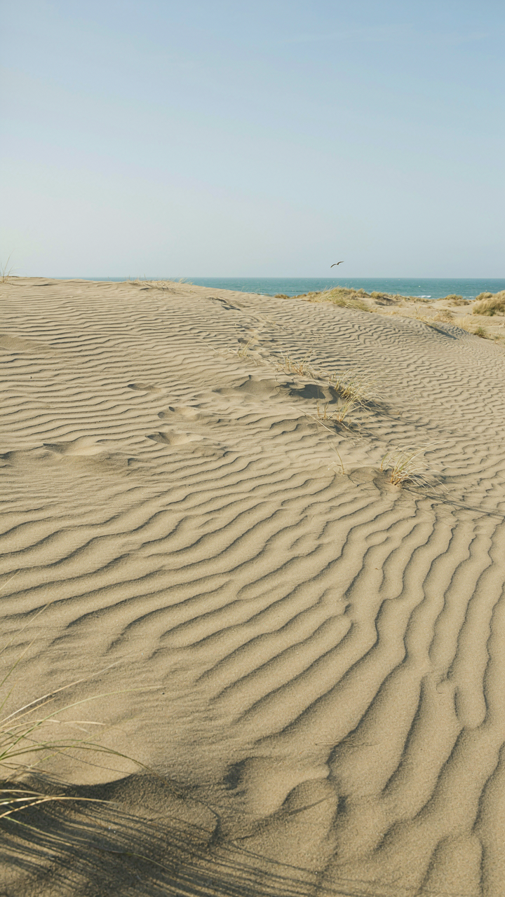 Wind patterns visible on sand dunes near a coastal cottage porch.