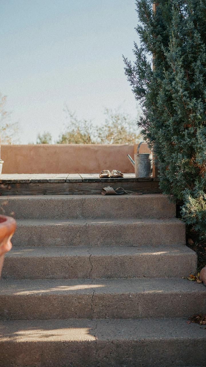 Textured concrete steps leading to a ranch house porch, with a tall plant at the corner.