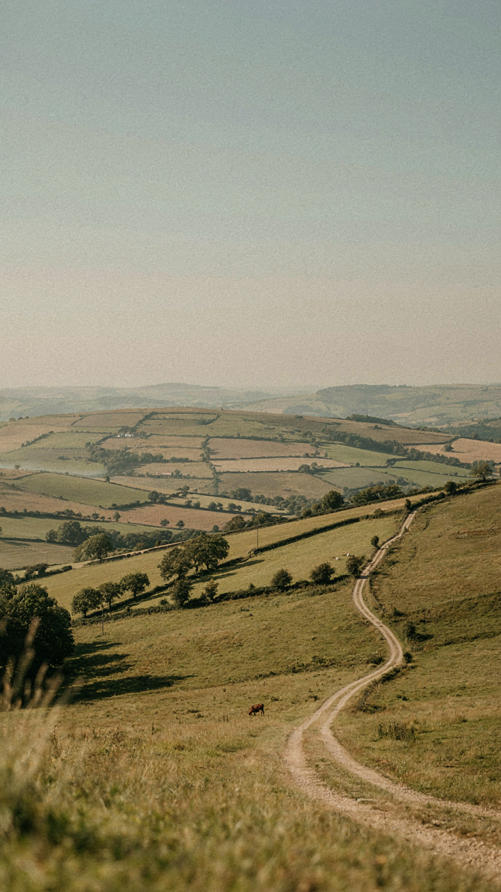 A muted rural landscape with rolling hills and a distant farmhouse.