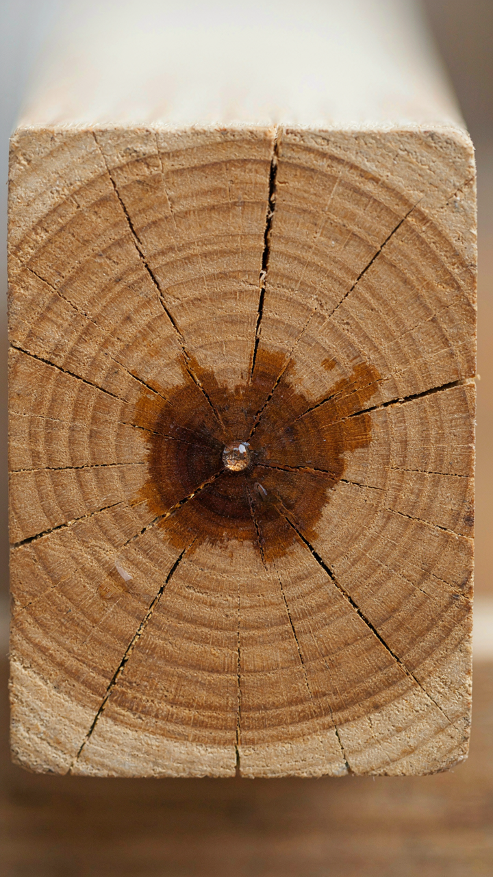 A drop of water being absorbed by the end grain of a wooden beam.